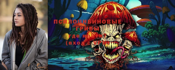 круглые Тавда