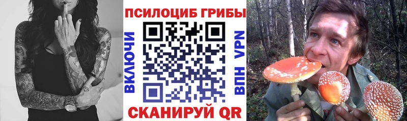 Галлюциногенные грибы мицелий  Волчанск 